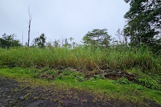 16-1920 36th Ave, Orchidlands Estates, HI 96760