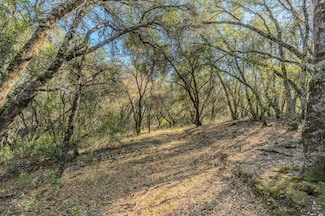 0 Falcon Ridge Rd, Jackson, CA 95642