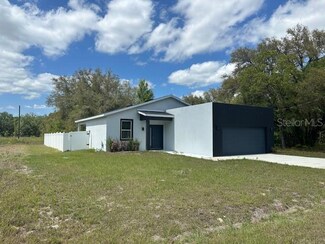 28 Guava Ln, Ocklawaha, FL 32179
