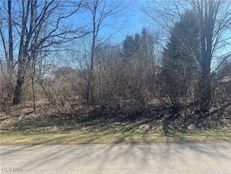 2572 Damvue Dr, Roaming Shores, OH 44084