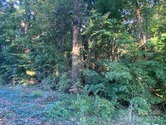 001 Rumple St, Troutman, NC 28166