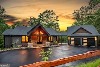 453 Settler's Ridge Rd, Cherry Log, GA 30522