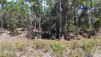 Lot 33 Neptune Blvd, Dunnellon, FL 34431