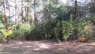 0 Riverside Dr, Idle Wild, TX 77357