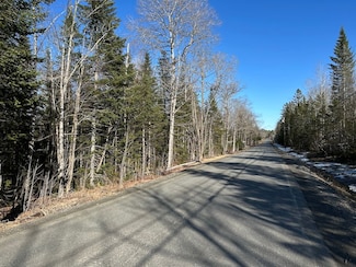0 Silvers Mills Rd Unit LotWP001 23320211, Sangerville, ME 04479
