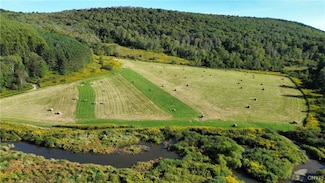 00 Payne Marsh Rd, Berkshire, NY 13736
