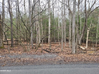 184 Red Oak Rd, Flinton, PA 16640