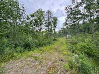 0 Hawes Bridge Rd Unit 1627991, Prospect, ME 04981
