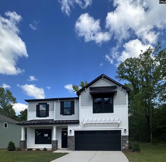 195 Collins Cove Dr, Chapin, SC 29036