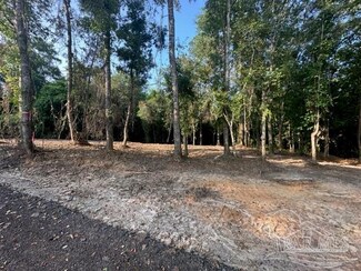 lot 3 -6314 Donna Dr, Molino, FL 32577