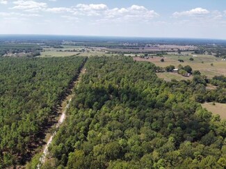 2896P07 County Road 2626, Wells, TX 75976