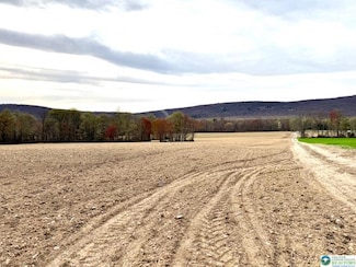 9170 N Loop Rd, Washington Township, PA 18080