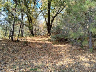 15814 Auburn Rd, Grass Valley, CA 95949