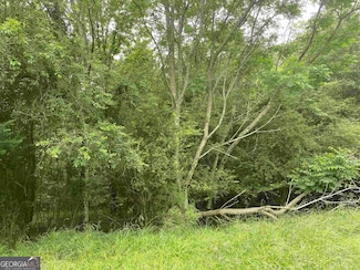 0 River Birch Ln Unit 20165385, Colbert, GA 30628