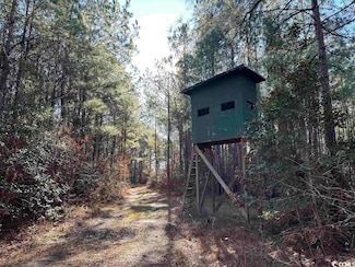 821 Lake City Hwy, Johnsonville, SC 29555