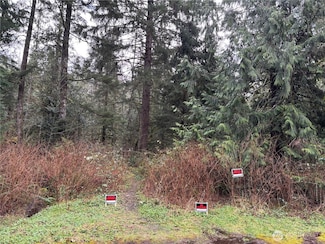 0 441st Ave SE, North Bend, WA 98045