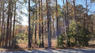 0 Old Cherokee Rd Unit Lot 2 598911, Lexington, SC 29072
