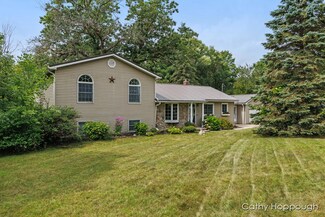 315 Lynn Ave, Ionia, MI 48846
