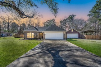 317 Maple Ln, New Caney, TX 77357