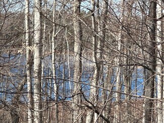 0 Sugar Ridge Ln Unit 201828881, Hebron Township, MI 49718
