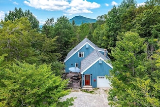 22 Bromley Forest Rd, Bondville, VT 05340