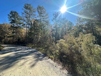 Lot 27&28 Lakeshore Estates Dr, Lincolnton, GA 30817