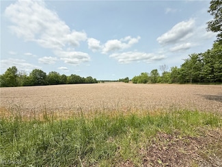0 Snode St NE Unit 5127627, Lexington Township, OH 44601