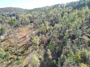 5416 Arkansas 123, Lamar, AR 72846