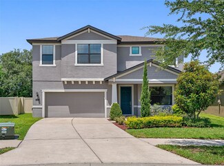 856 Vino Verde Cir, Brandon, FL 33511