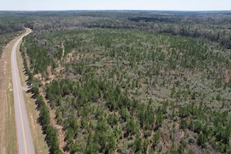 0 Mason Ferry Rd, Wilmer, AL 36587