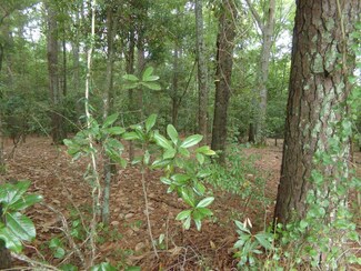 58 Harrell St, Sumter, SC 29150