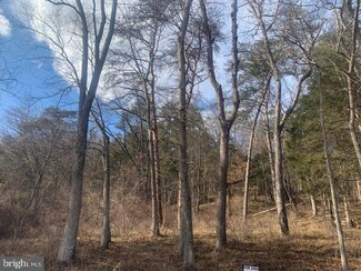 TBD Supinlick Ridge Rd, Edinburg, VA 22824