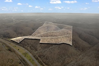 811 Clay Lick Ct, Whites Creek, TN 37189