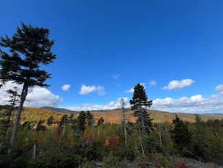 Lot#9 East Moose Alley Rd, Temple, ME 04984