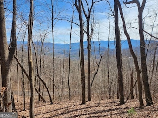 #28 the Overlook at Young Harris, Young Harris, GA 30582