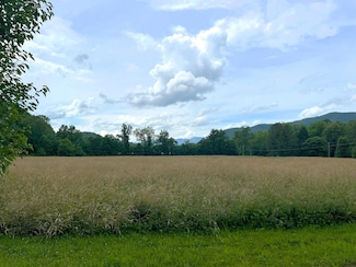 Par 130.01 Tennessee 32, Cosby, TN 37722