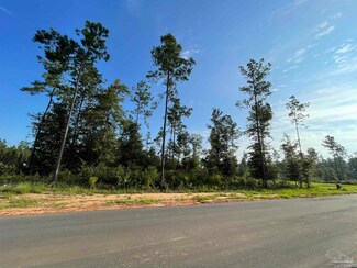 Lot 14 Steele Meadow Dr, Pace, FL 32571