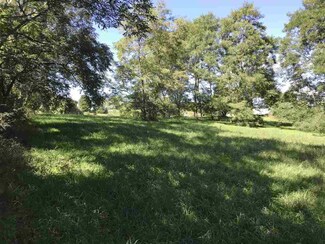Lot 34 Nelson Rd, East Jordan, MI 49727