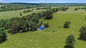 1 Pleasant Run Rd, Mammoth Spring, AR 72554