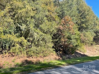 0 Deep Springs Rd, Peachland, NC 28133
