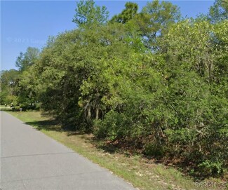 863 E Cermak St, Hernando, FL 34442