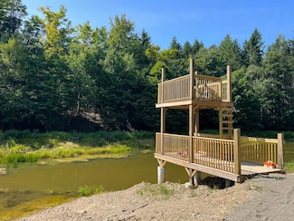 0 Vl Vollentine Rd Unit LotWP001, Randolph, NY 14772