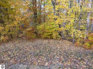 Lot 79 Eden St Unit 79, Kingsley, MI 49649
