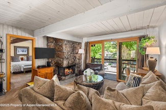 131 E Durant Ave Unit 202, Aspen, CO 81611