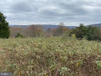1015 Shenandoah Rd, Mathias, WV 26812
