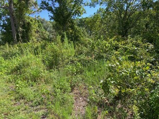 0 Old Gainesville Hwy, Interlachen, FL 32148