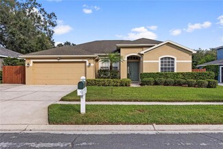 2913 Red Coat Cir, Brandon, FL 33511