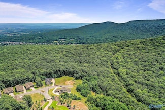 35.5 Acres Hawks Way NE, Huntsville, AL 35811