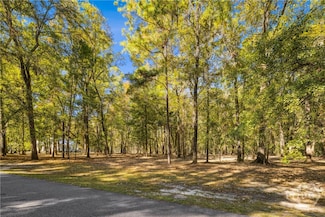 217 Mcallister Landing, Richmond Hill, GA 31324