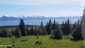L4 E End Rd, Homer, AK 99603